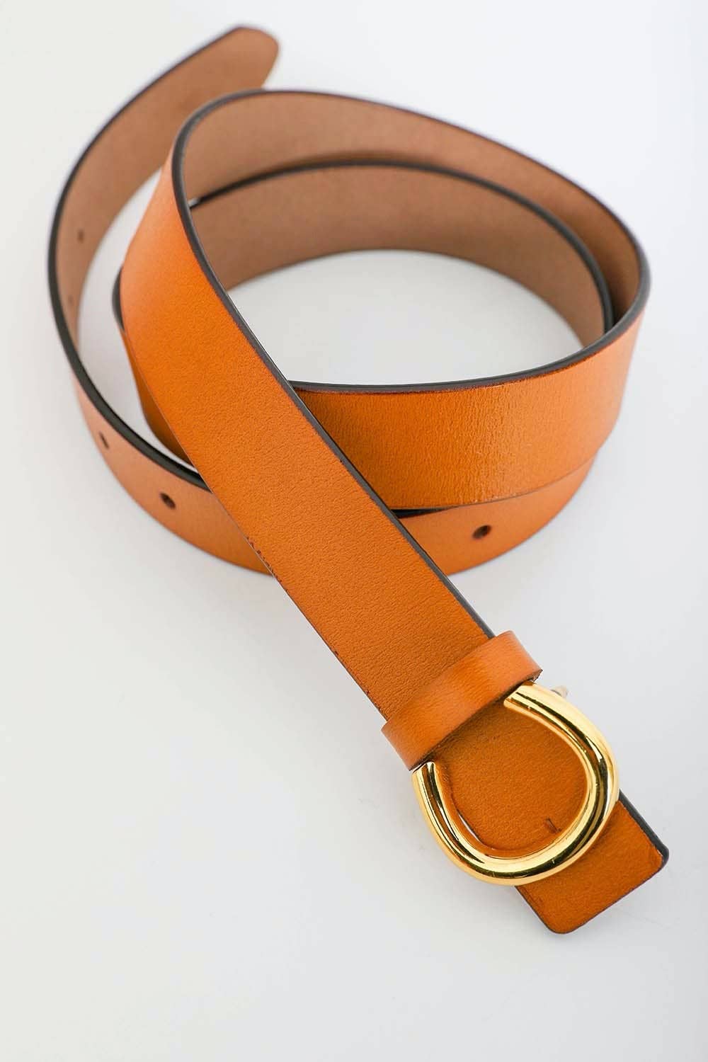Horseshoe Belt