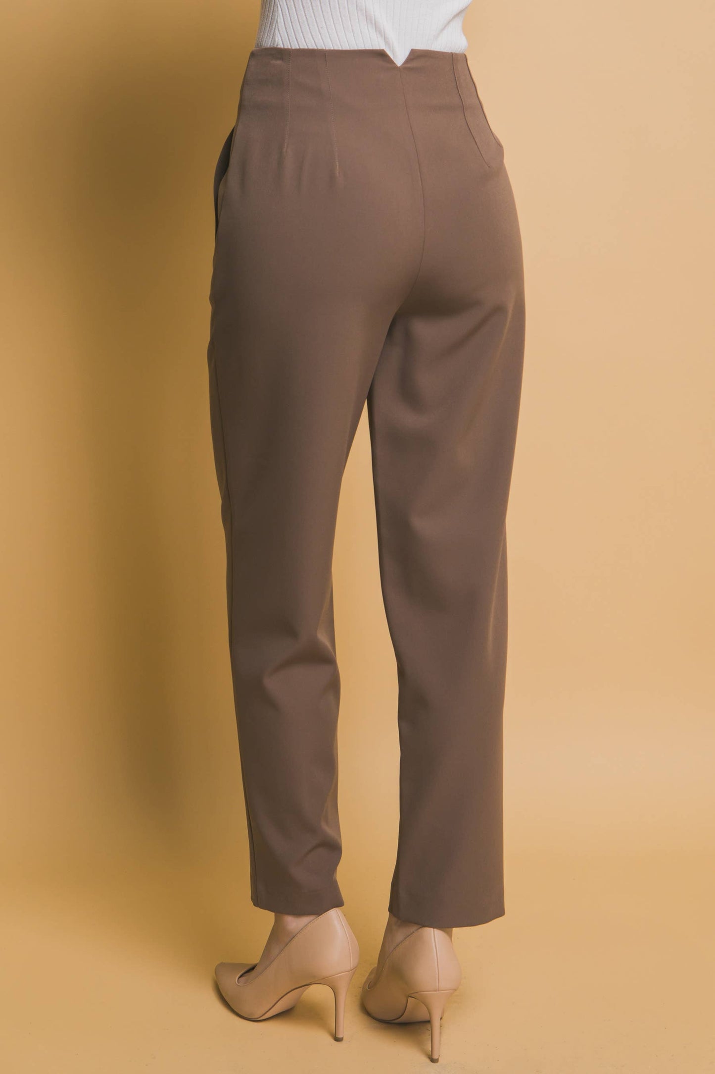 High Waisted Darted Waistline Pants