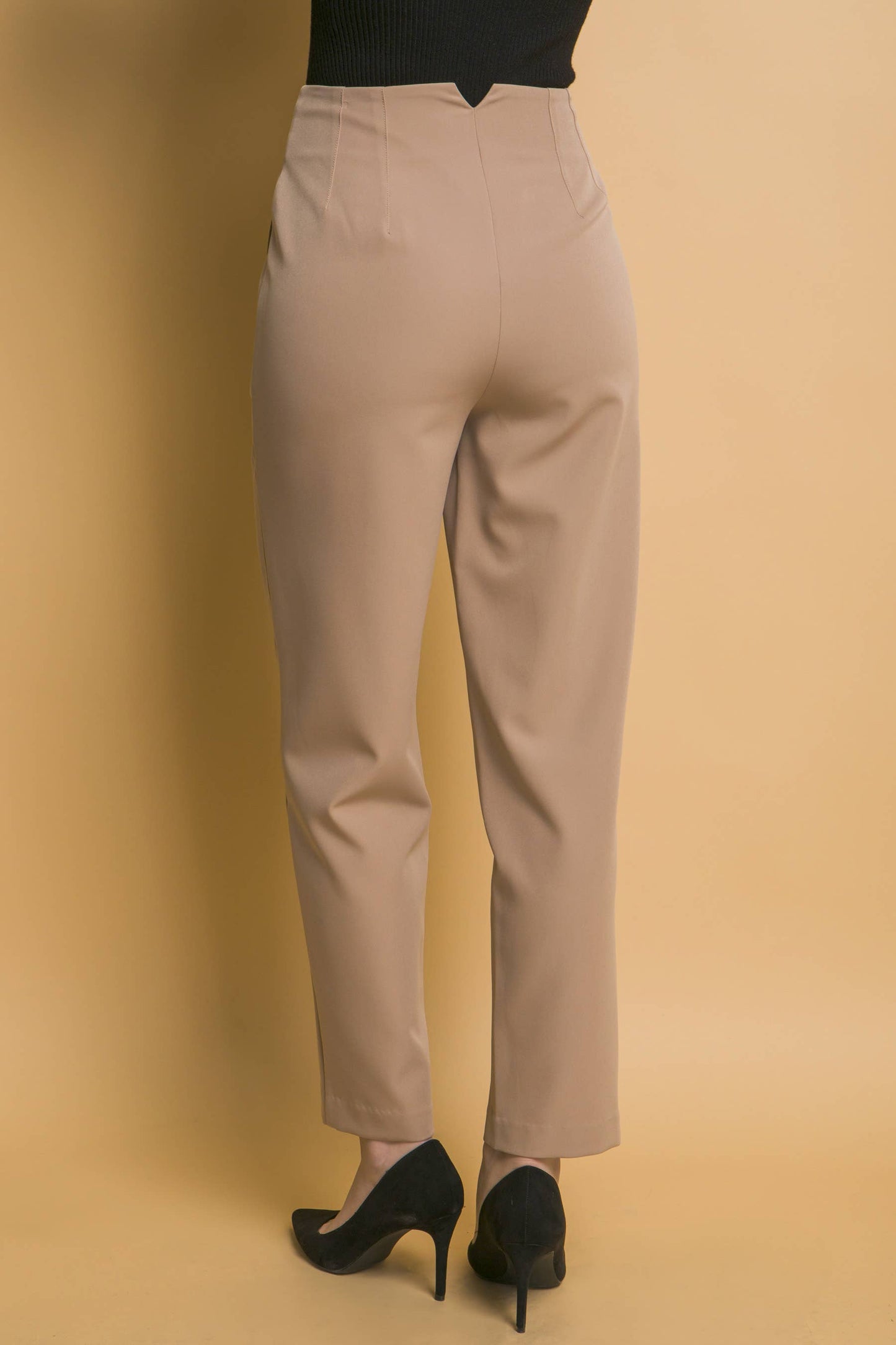 High Waisted Darted Waistline Pants