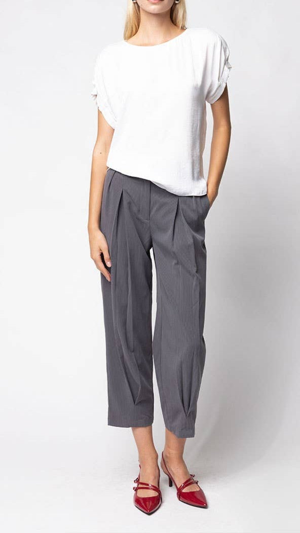 Pleated Sleeve Blouse