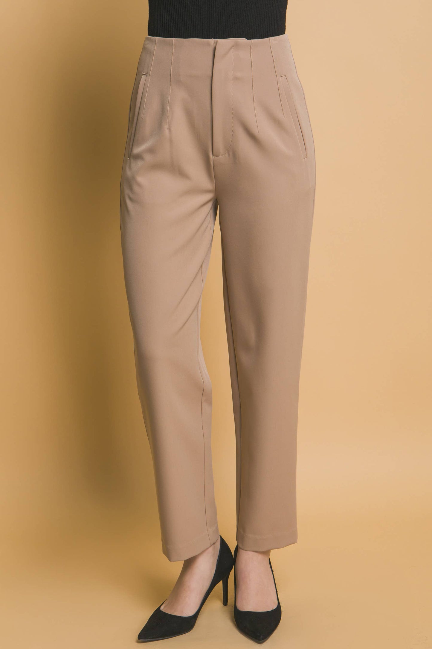 High Waisted Darted Waistline Pants