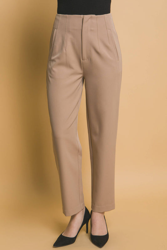 High Waisted Darted Waistline Pants