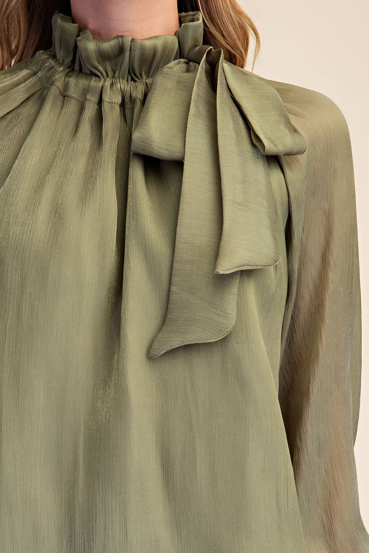 Ruffle Neck Tie Blouse